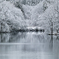 雪化粧の入り江 / Small inlet with snow