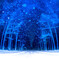  Snowy Road