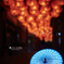 quiet Lantern