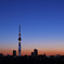 magic hour