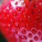 practice of the macrocosm