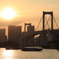 sunset Reinbor
