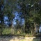 Picture on the pond