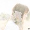 bara_series