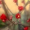 春、見つけました