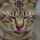 エヘヘ