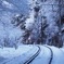 雪の貴船