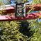 来宮神社　鳥居