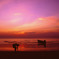 LONELY BEACH