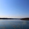 すすき、多摩湖、青空