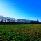 権現堂公園