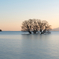 Tranquil Lake