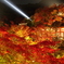 2017秋　京都紅葉-5