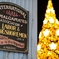 ディズニーシーのクリスマスツリー
