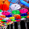 umbrella　street