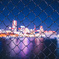 Through the fence 
