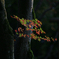 b0277031_1961771