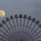 「moon wheel」