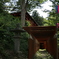 鳥居の先は