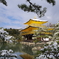 金閣寺、輝く
