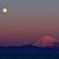 Morning Moon