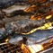 釣り堀の後は