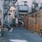 さよなら、猫さん。