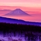 夜明けの富士