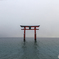 Shirahige Shrine