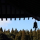 鈴