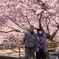 桜灯りに照らされて