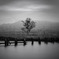 Solitude