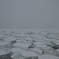 流氷