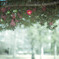 『山茶花』