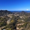 房総の里山