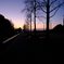 DSCF3187
