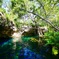 Grand Cenote
