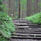 山道