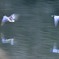 発ちて春