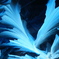霜の華
