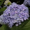 DSCN0032