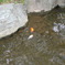DSCN0038