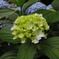 DSCN0034