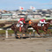 浦和競馬場にて・・・