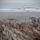 冬の海色