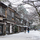 雪の兼六園へ