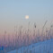 －15℃の優しい夜明け