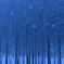 winter wonderland
