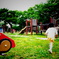 公園を縦横無尽。
