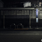 Bus Stop at Midnight